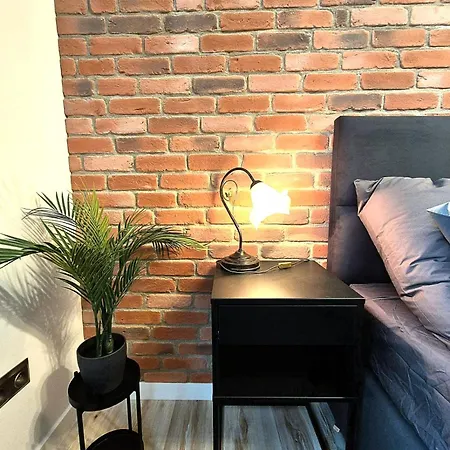 Downtown Apartment Cracow Краків Екстер'єр фото